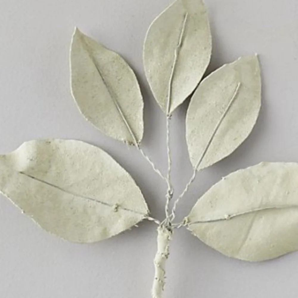 Anthropologie Canvas Magnolia Stem